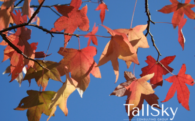 Leadership isn’t about speeding up – it’s about noticing what matters before it passes by.