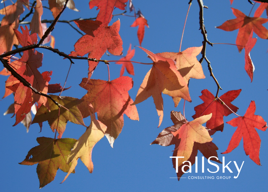 Leadership isn’t about speeding up – it’s about noticing what matters before it passes by.