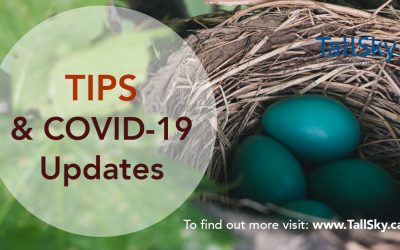 Tips and COVID-19 Updates