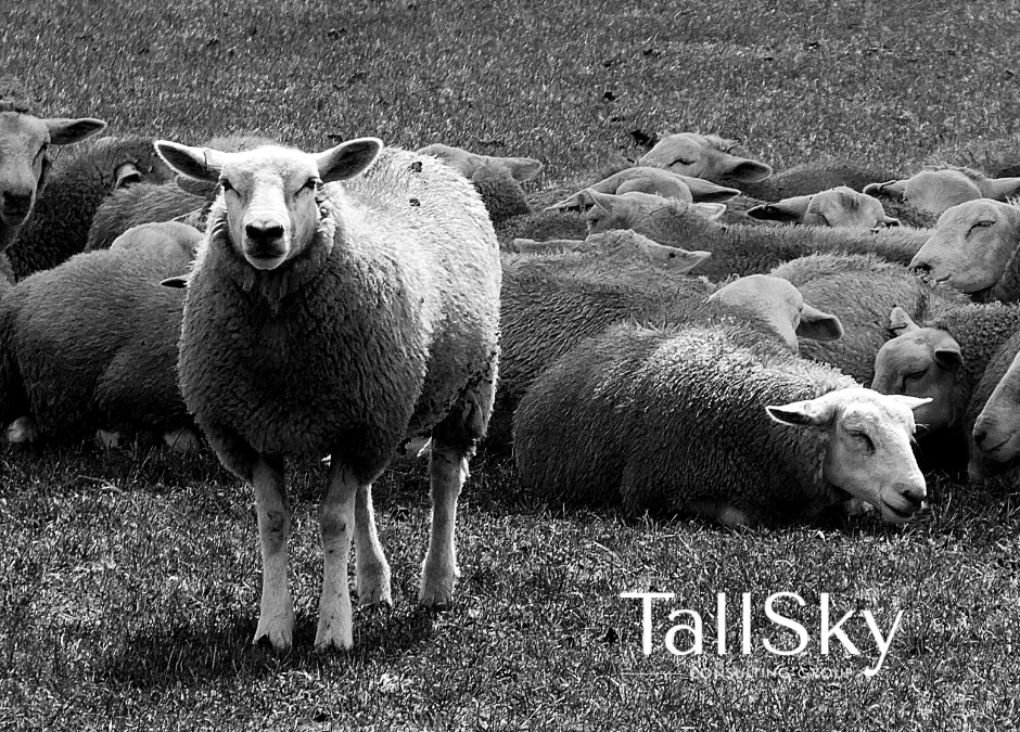 Make every job application count! Stand out today and build connections for the future.