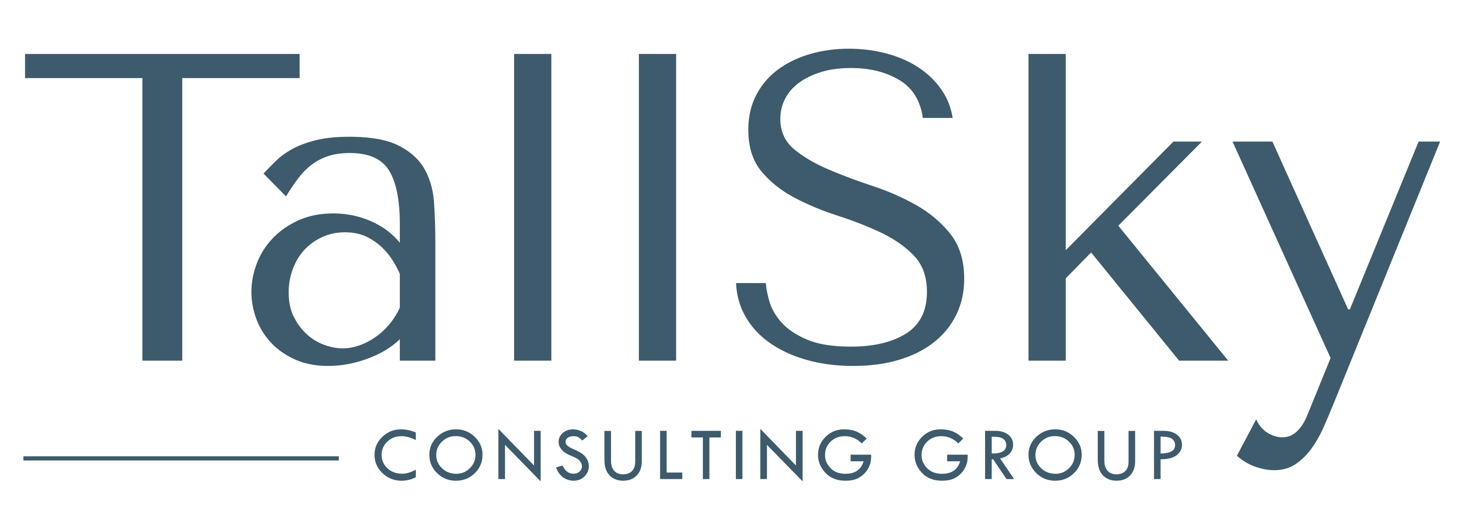 TallSky Consulting Group