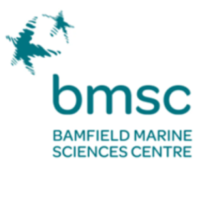 BMSC BMSC Logo