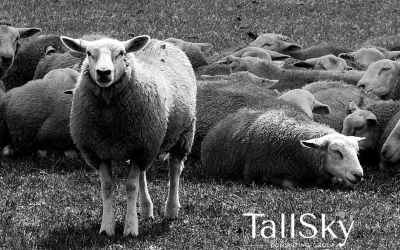 Make every job application count! Stand out today and build connections for the future.