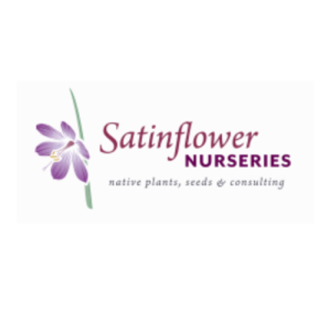 Saint Flower
